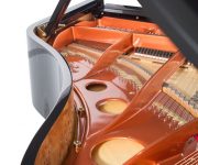 179_Detail_19_inside_8_web